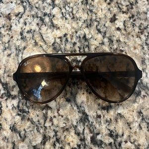Ray Ban Cats